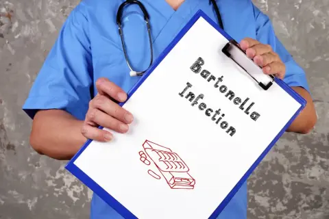 Bartonella objawy psychiczne: niebezpieczne skutki, które musisz znać