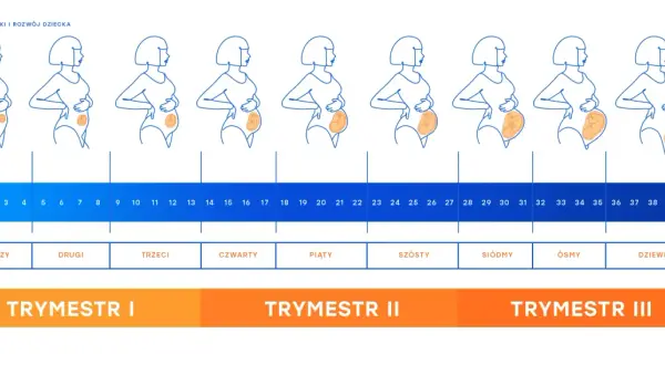 Kalkulator ciąży: oblicz, który tydzień i dzień jesteś w ciąży