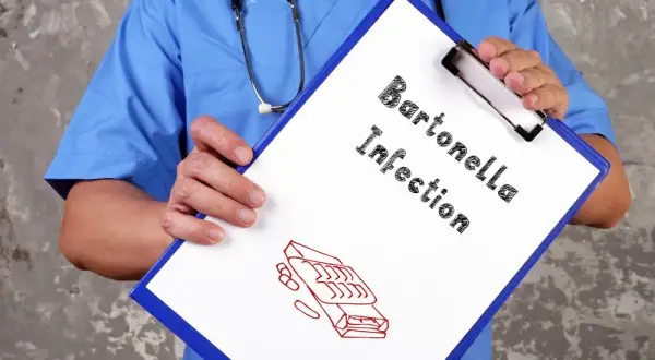 Bartonella objawy psychiczne: niebezpieczne skutki, które musisz znać